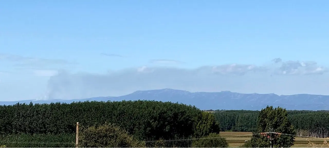 humo sanabria