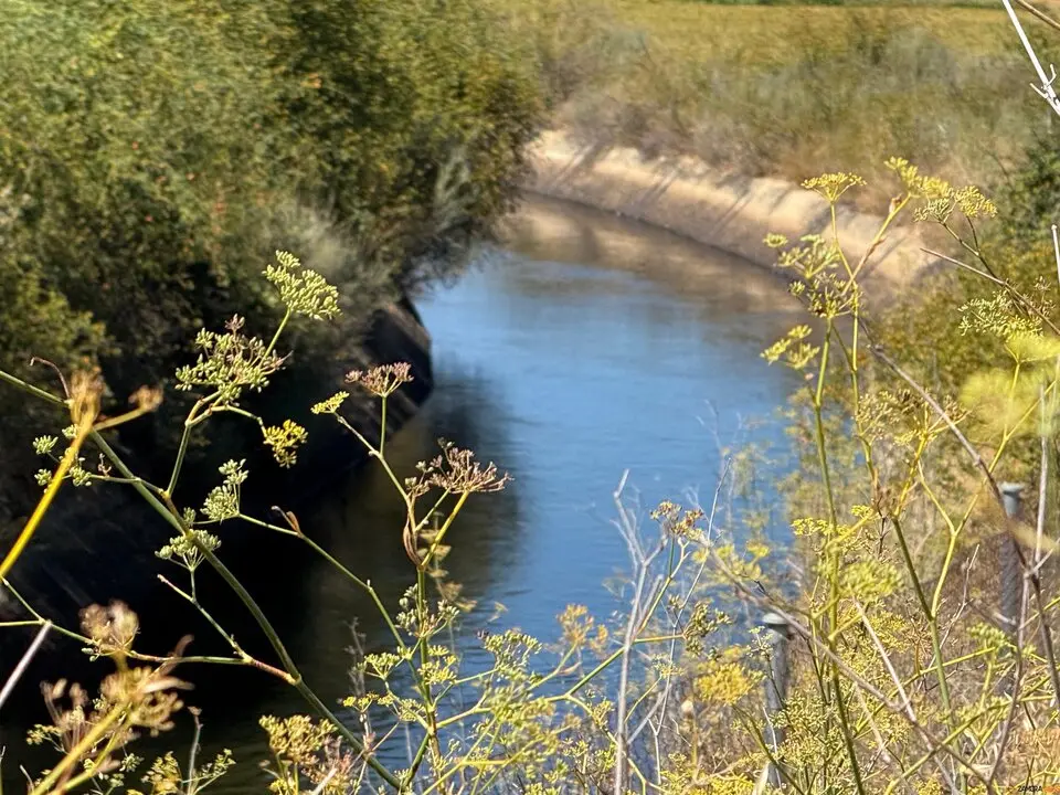 Canal del Tera