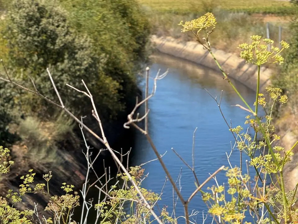 Canal del Tera