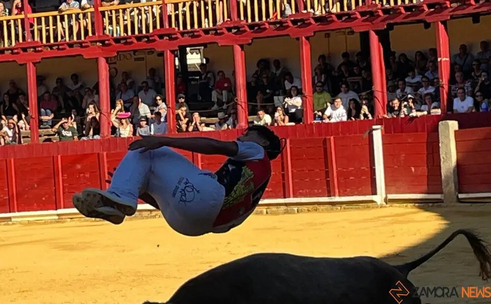 cortes toro san agustín 2025