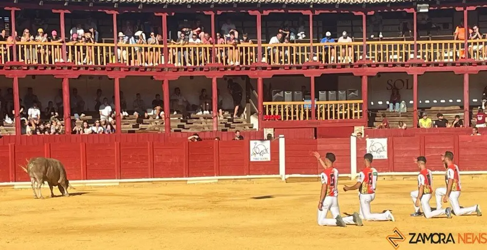 cortes toro san agustín 2025_2