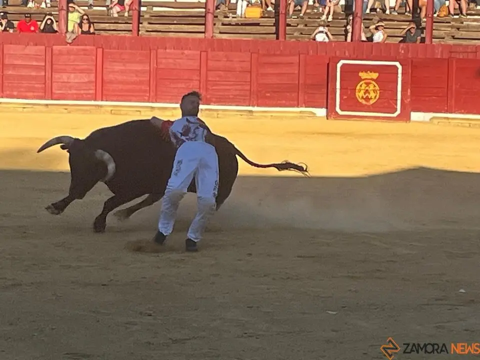 cortes toro san agustín 2025_3