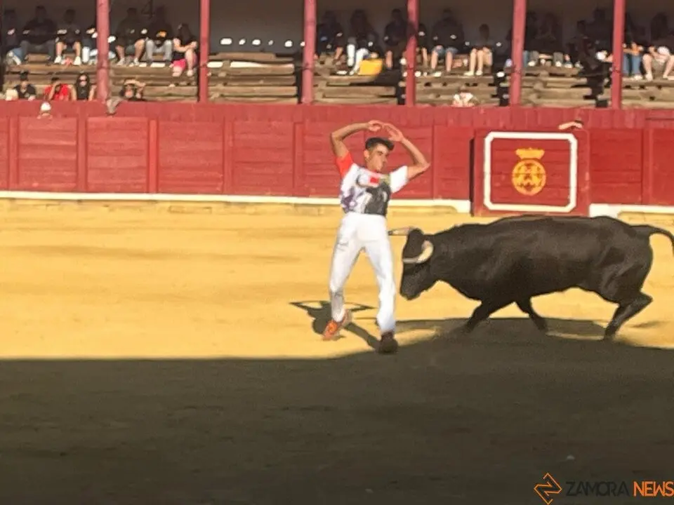 cortes toro san agustín 2025_4