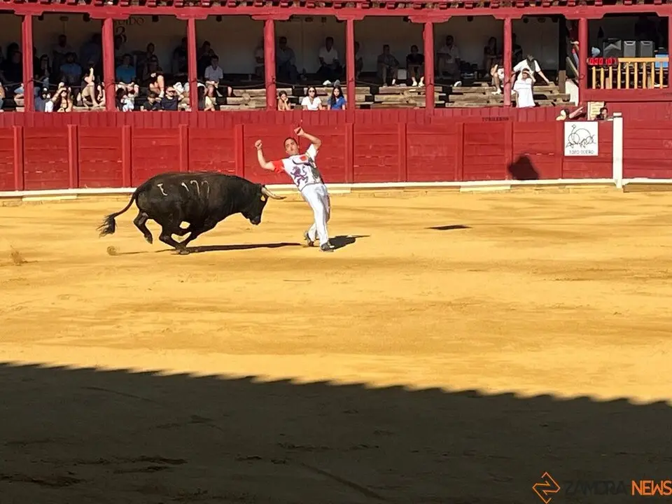 cortes toro san agustín 2025_7