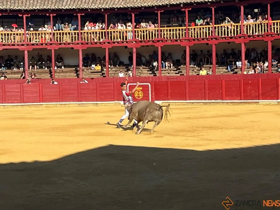 cortes toro san agustín 2025_8