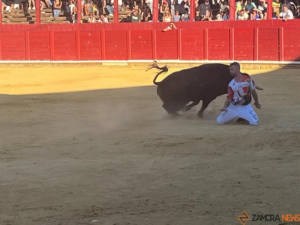cortes toro san agustín 2025_9