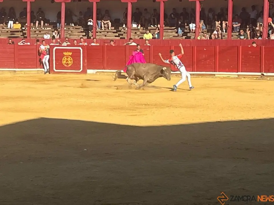 cortes toro san agustín 2025_12