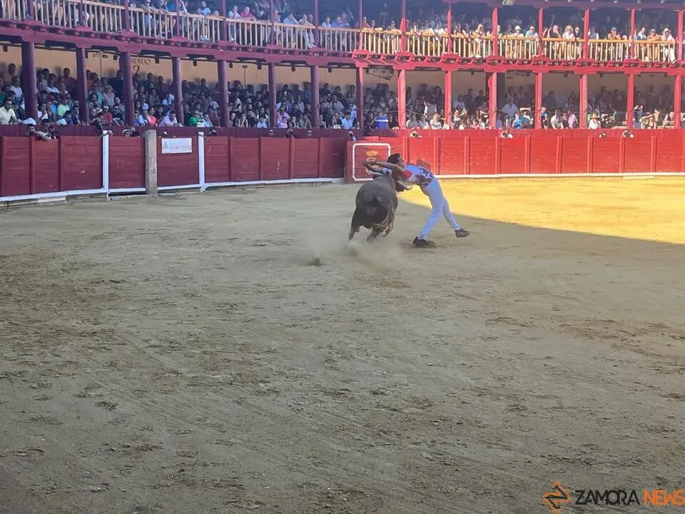 cortes toro san agustín 2025_13