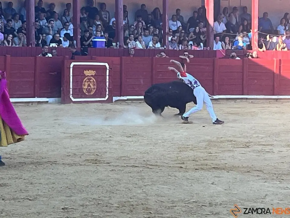 cortes toro san agustín 2025_14