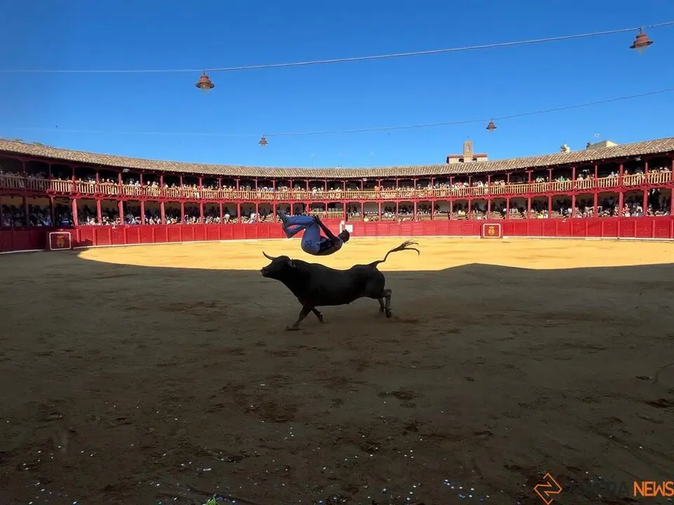 cortes toro san agustín 2025_15