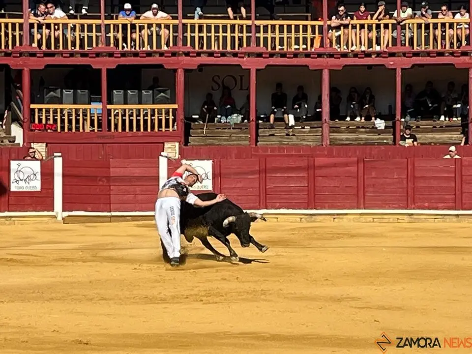cortes toro san agustín 2025_16