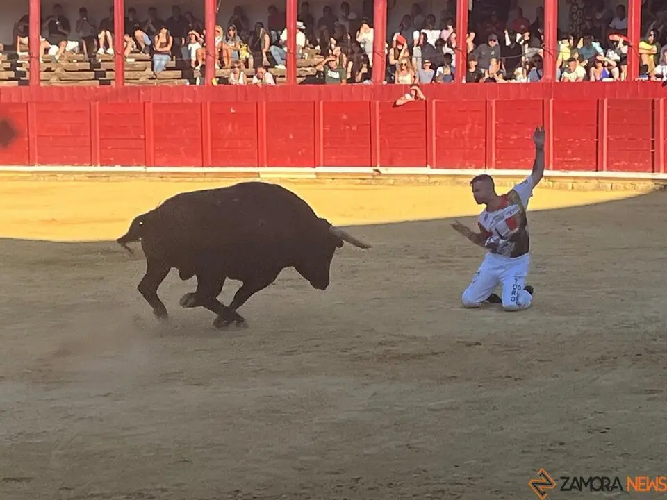 cortes toro san agustín 2025_17