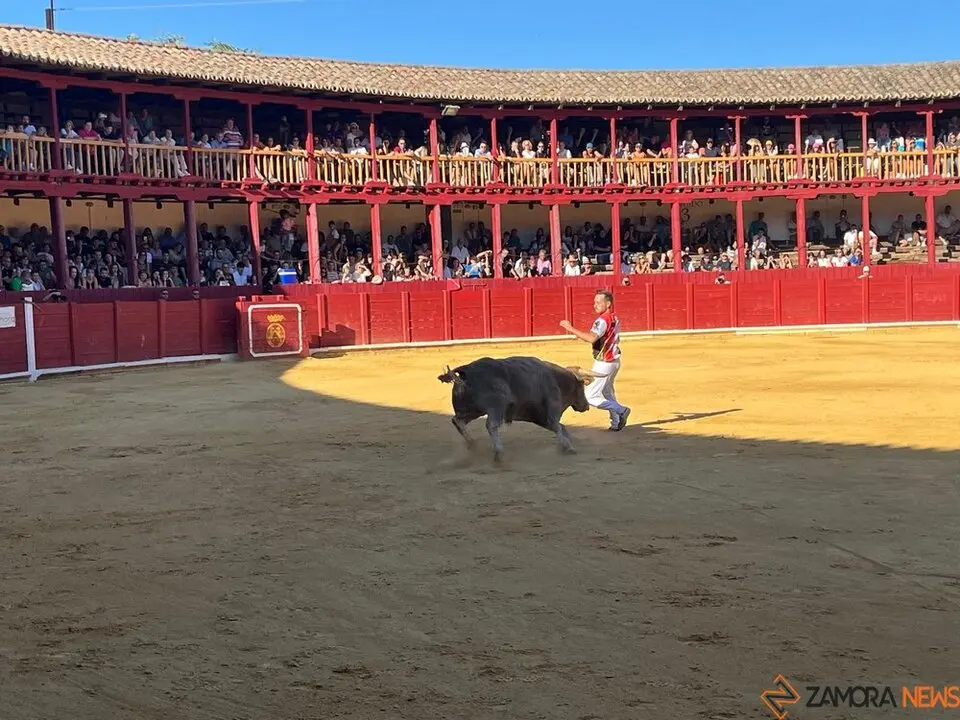 cortes toro san agustín 2025_18