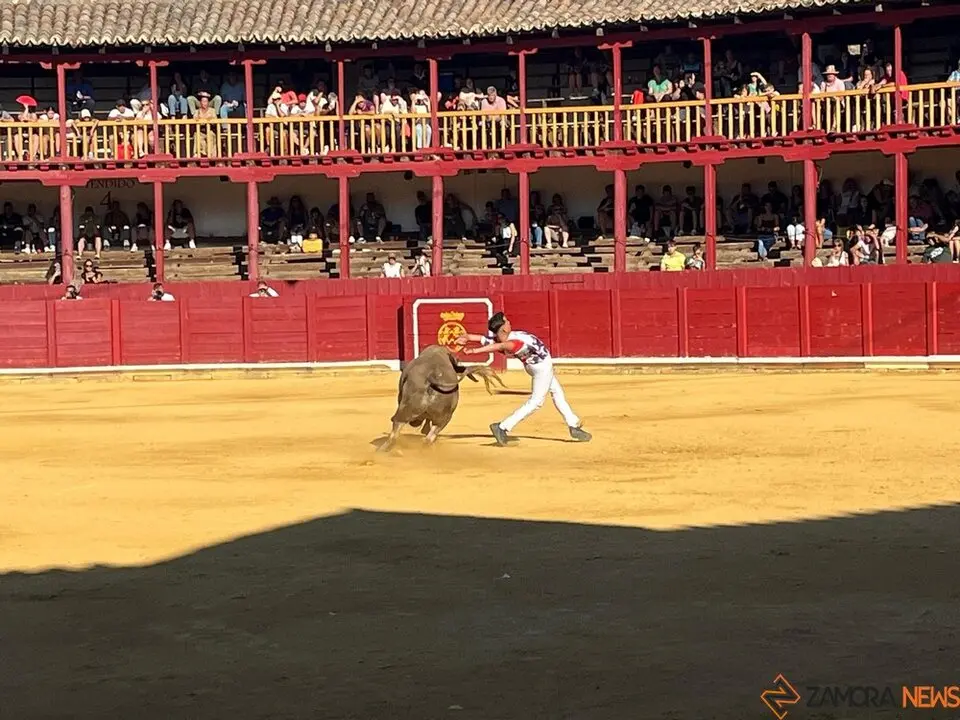 cortes toro san agustín 2025_23