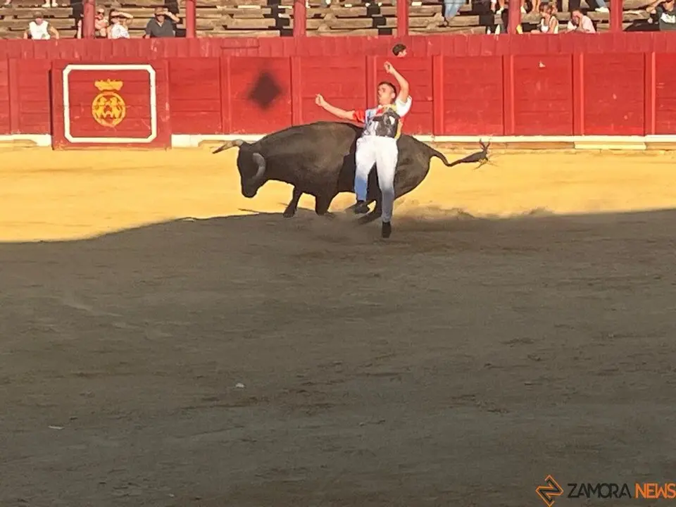 cortes toro san agustín 2025_24