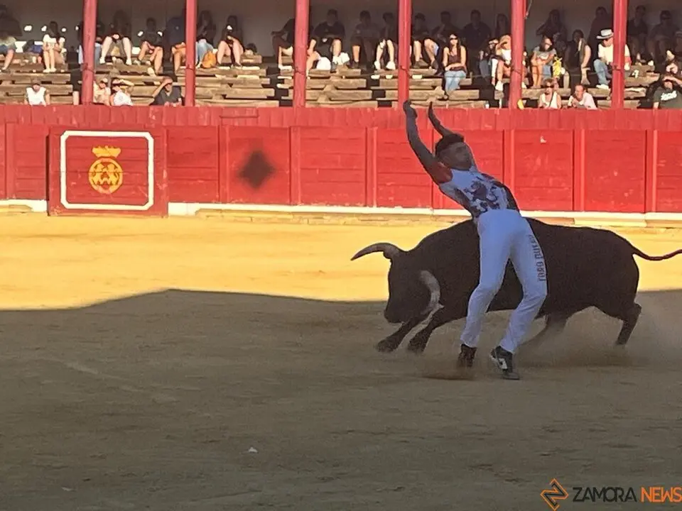 cortes toro san agustín 2025_27