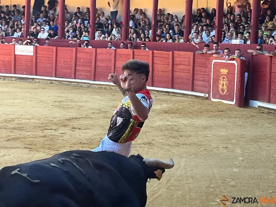 cortes toro san agustín 2025_28