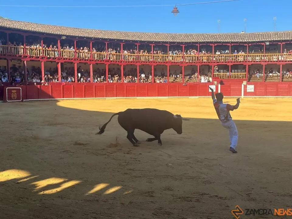 cortes toro san agustín 2025_29
