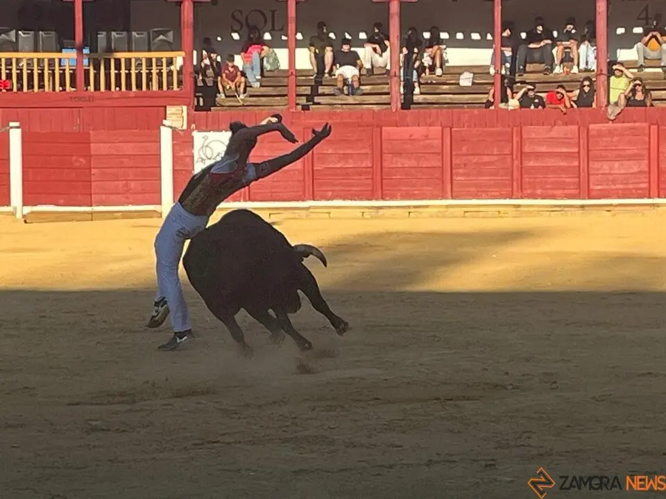 cortes toro san agustín 2025_30