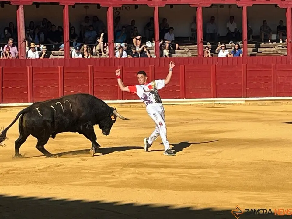 cortes toro san agustín 2025_32