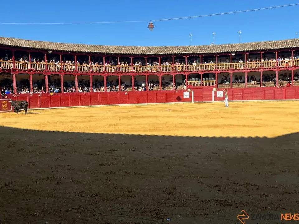 cortes toro san agustín 2025_34