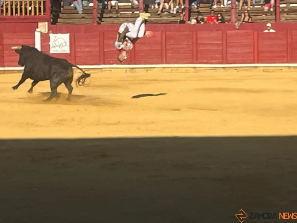 cortes toro san agustín 2025_35