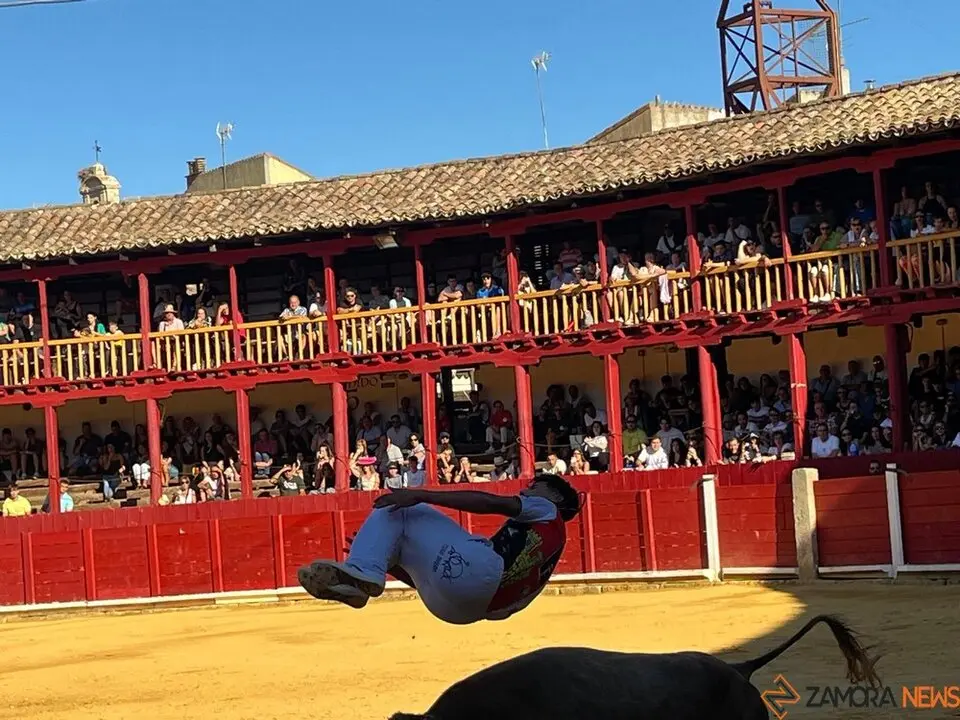 cortes toro san agustín 2025_37