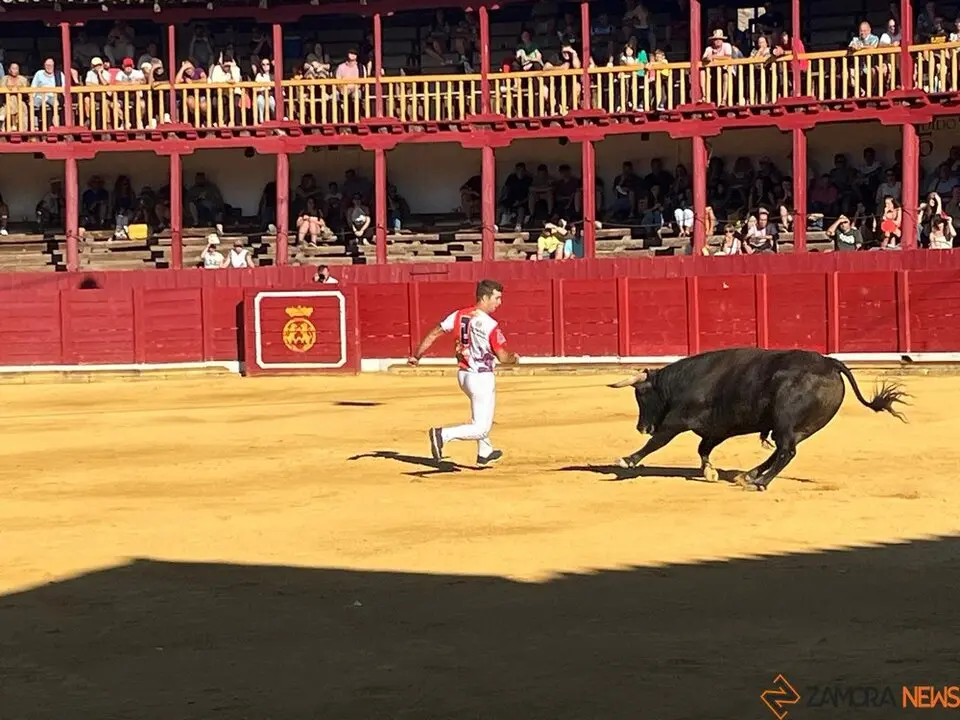 cortes toro san agustín 2025_38