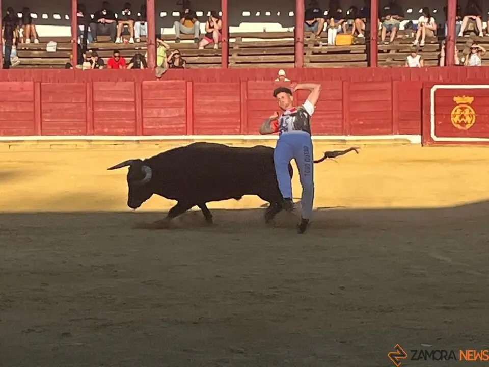 cortes toro san agustín 2025_39