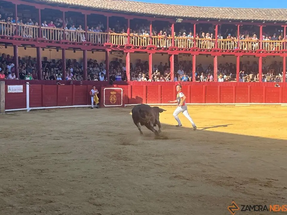 cortes toro san agustín 2025_40