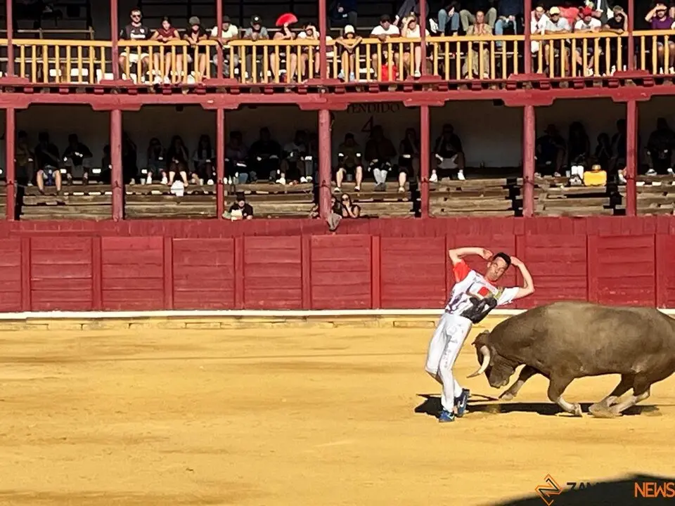 cortes toro san agustín 2025_41