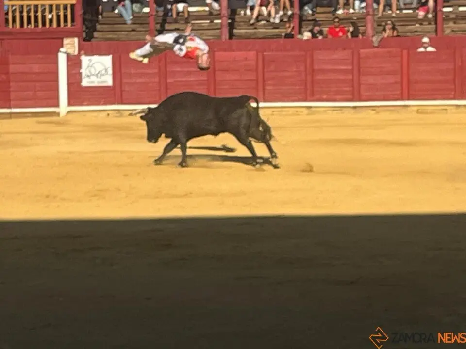 cortes toro san agustín 2025_42