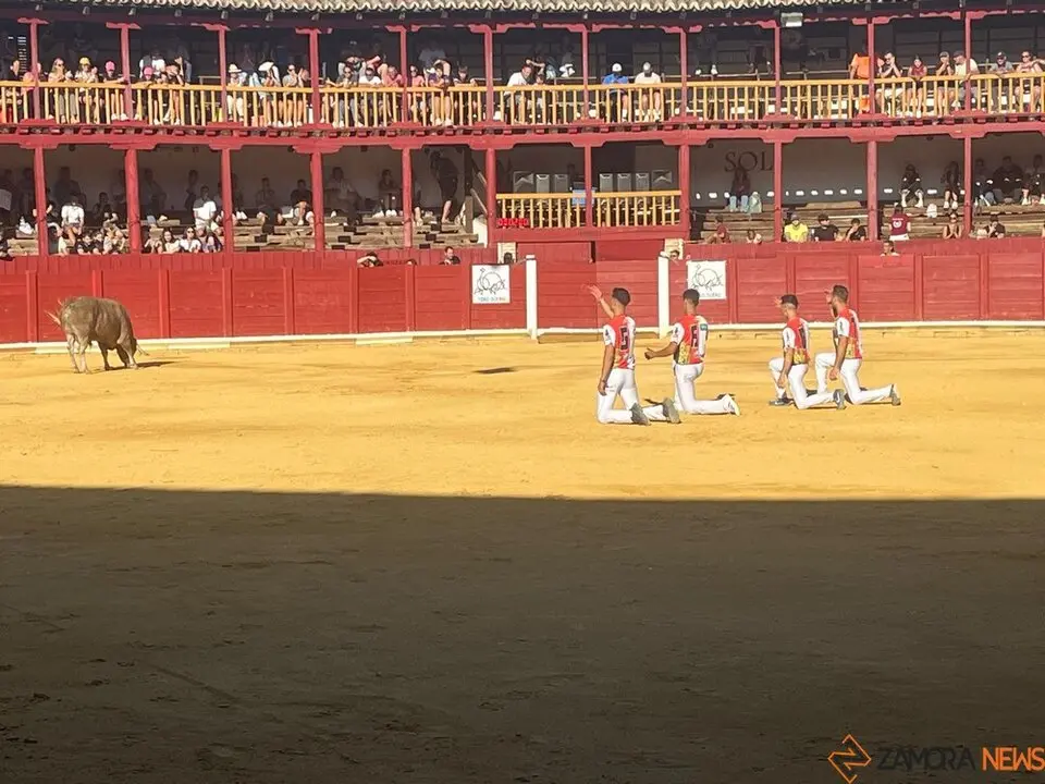 cortes toro san agustín 2025_43