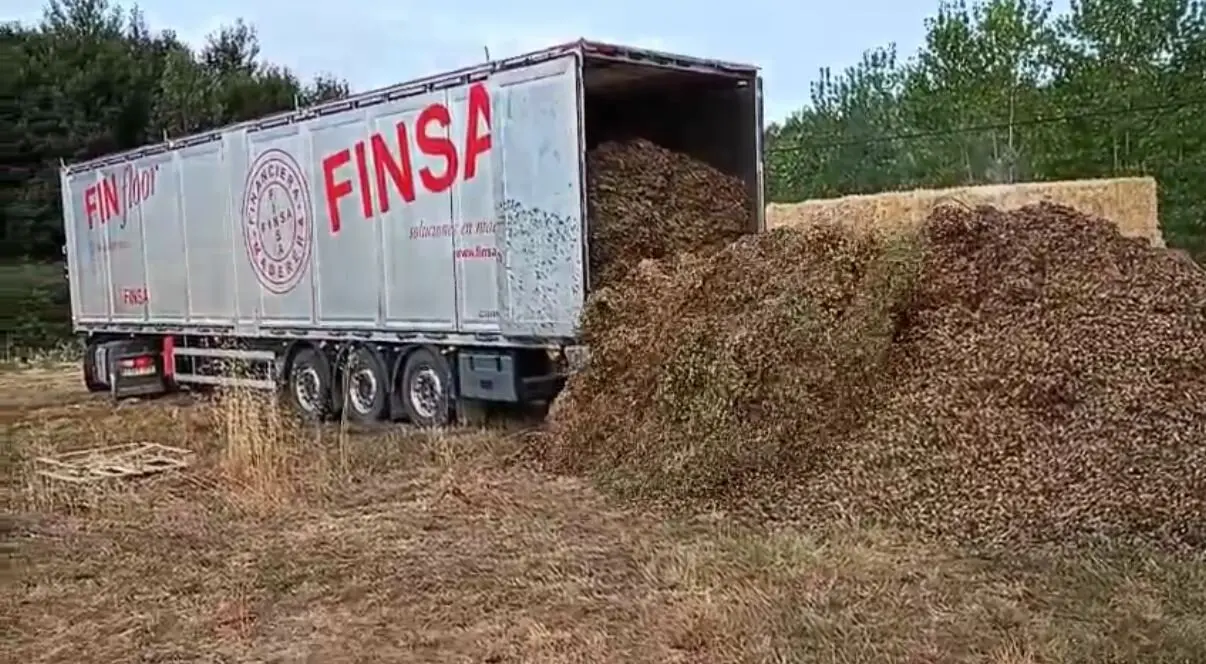 trailer cargado con cáscaras de almendra