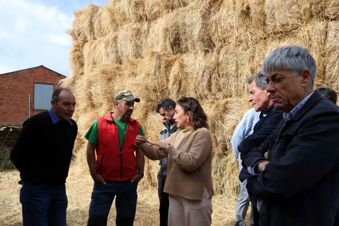 Más de 47.000 animales reciben alimento de emergencia tras los incendios en Castilla y León
