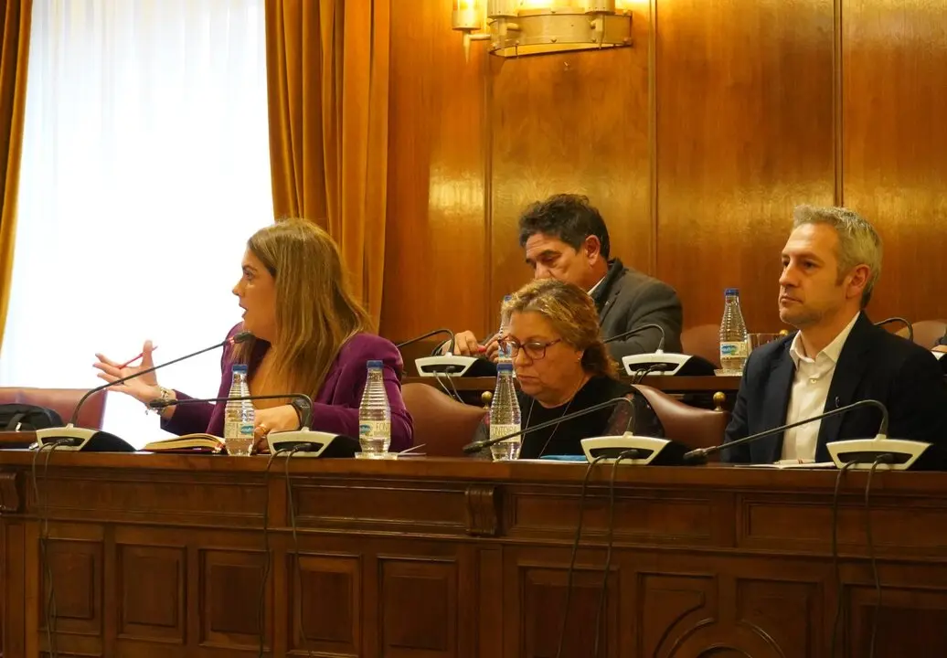 GRUPO SOCIALISTA DIPUTACIÓN DE ZAMORA