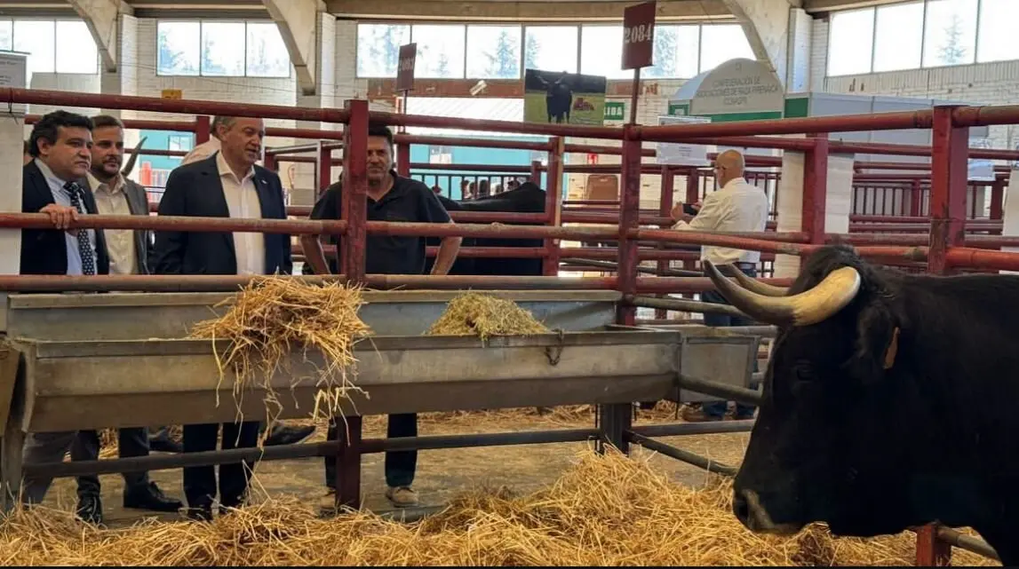Feria Agropecuaria en Salamanca Faúndez