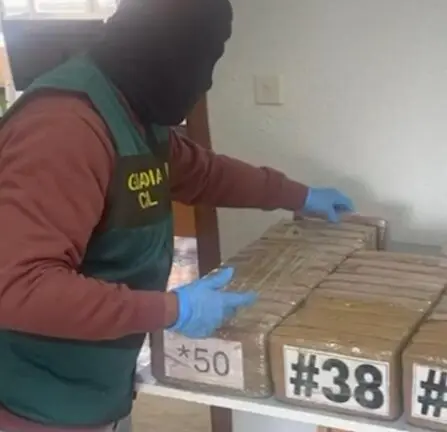 Desarticulada una red internacional de narcotráfico que operaba en Zamora