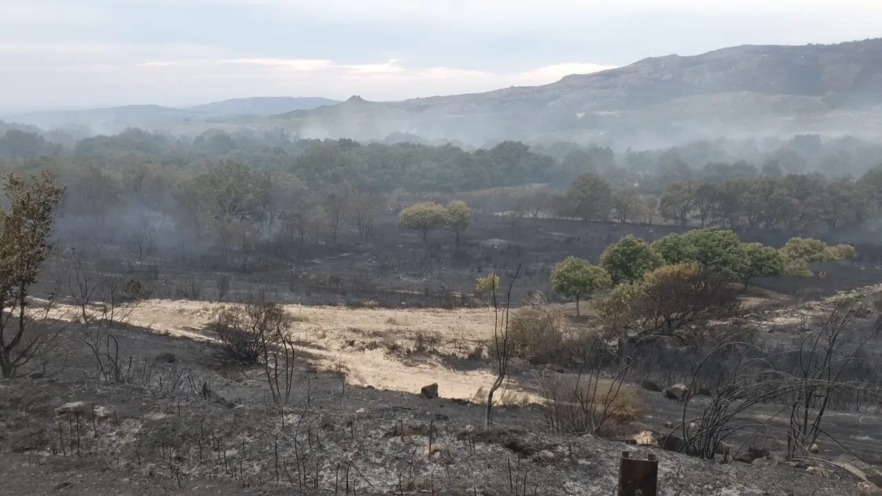 Incendio Castromil