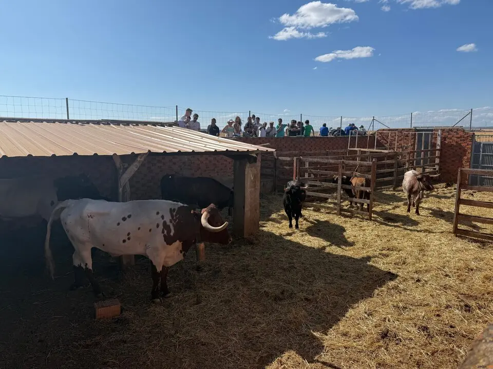 Espante de Carbajales