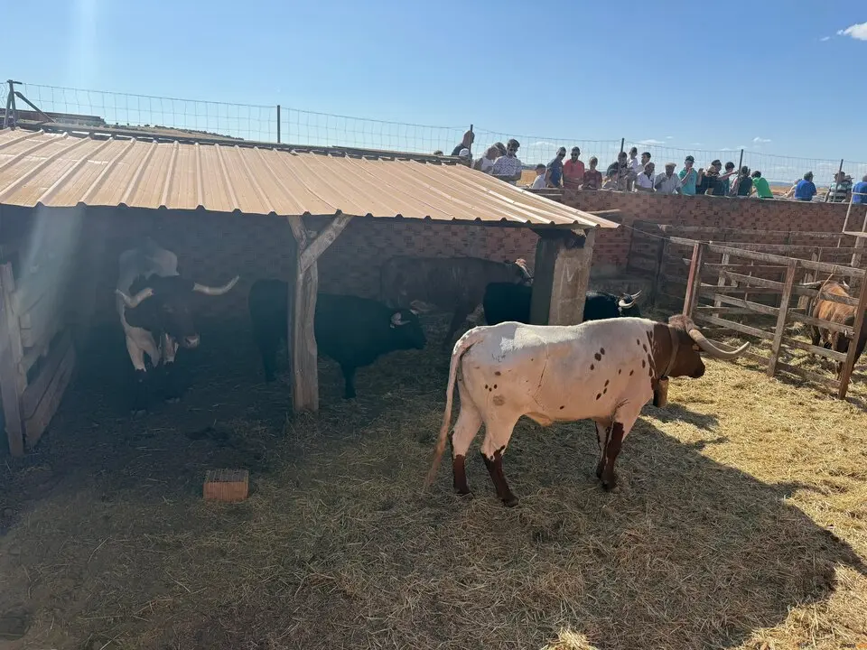 Espante de Carbajales