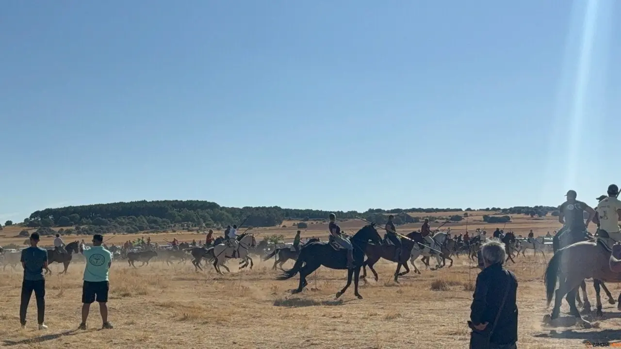 Espante de Carbajales