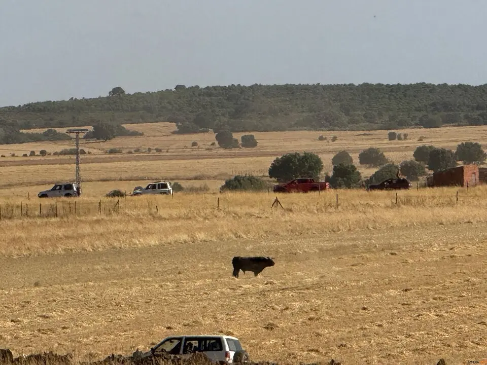 Espante de Carbajales