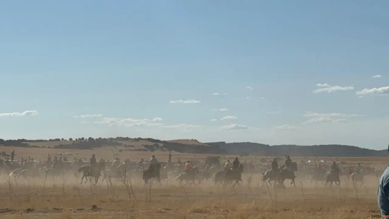 Espante de Carbajales