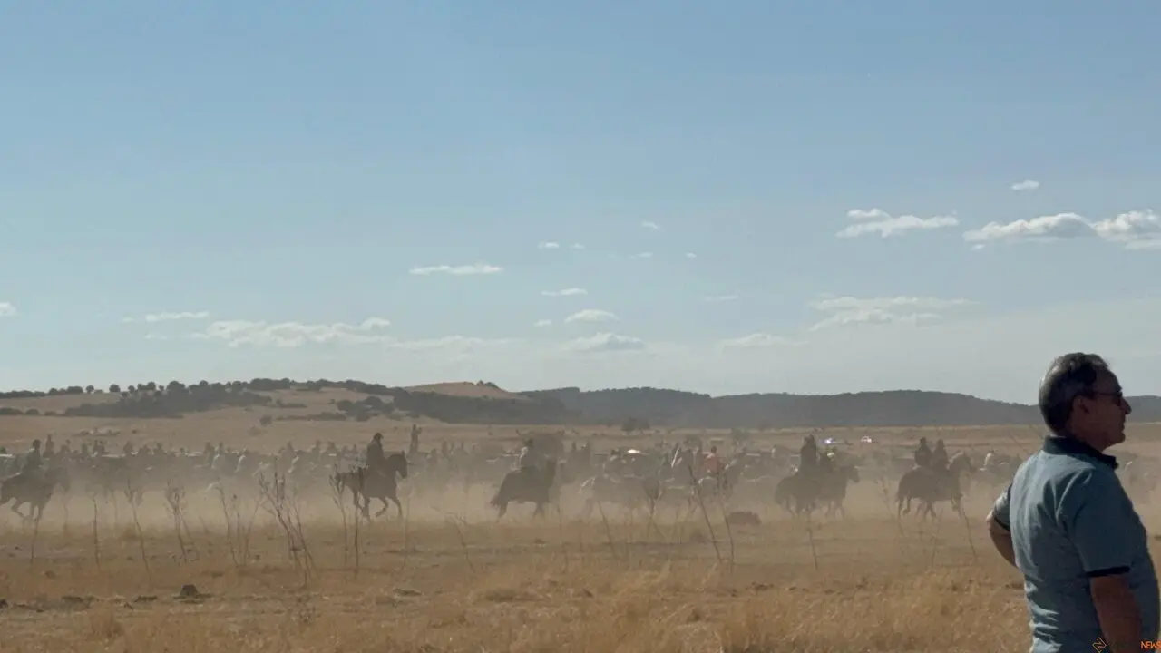 Espante de Carbajales