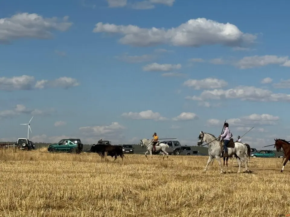 Espante de Carbajales