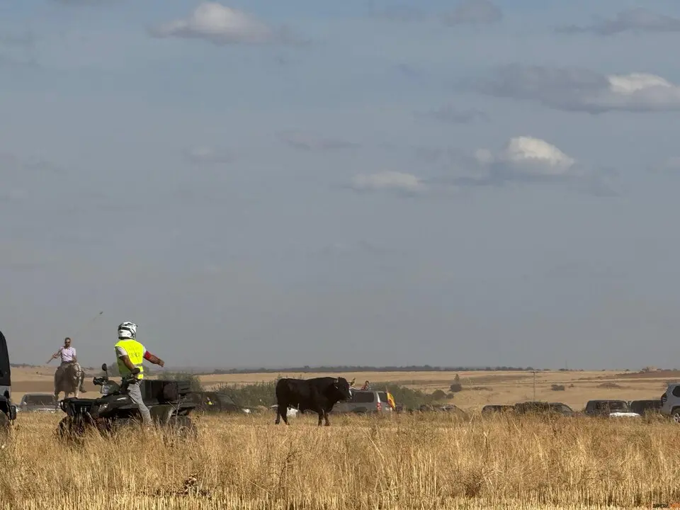 Espante de Carbajales