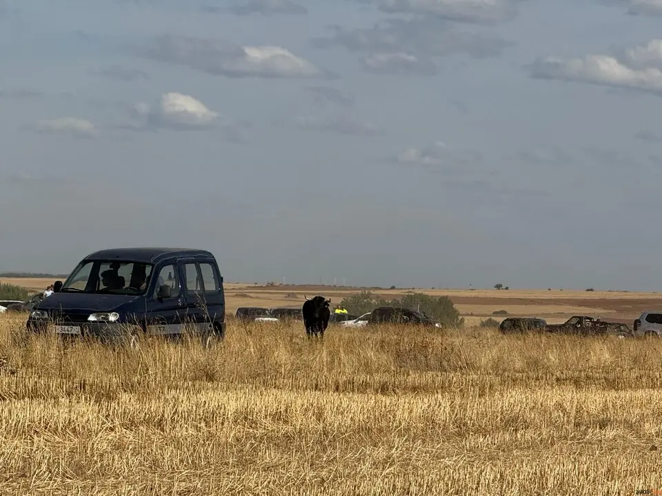 Espante de Carbajales