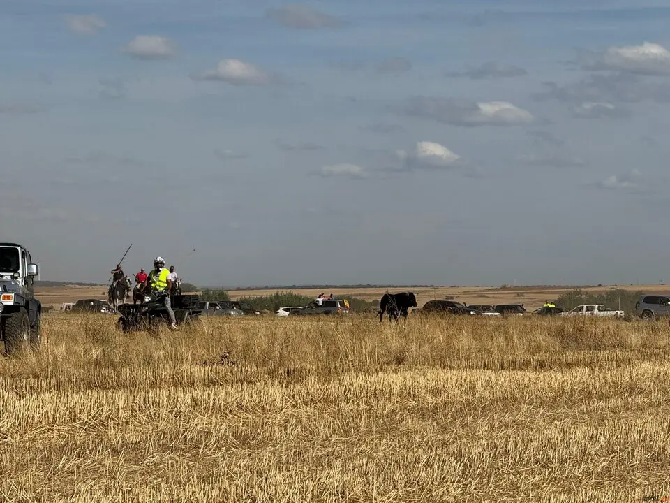 Espante de Carbajales