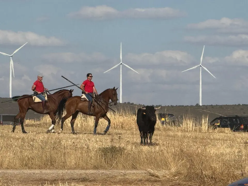 Espante de Carbajales